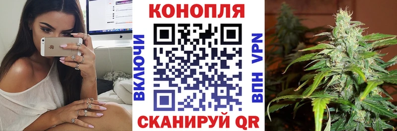 Купить закладки  Волосово  Канабис THC 21% 